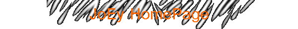 JoEy HomePage